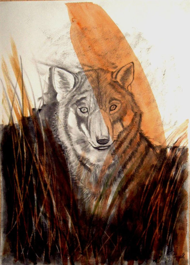lobo