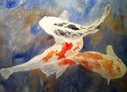 Peces Koi
