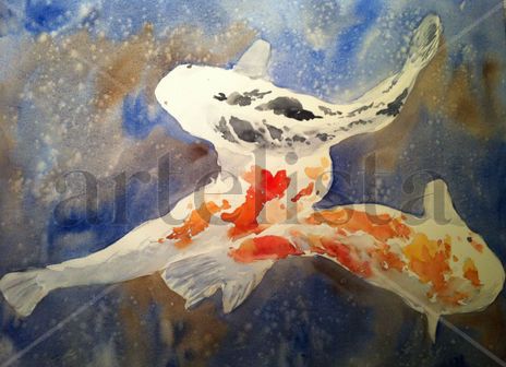 Peces Koi