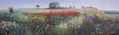 Campo en primavera.
