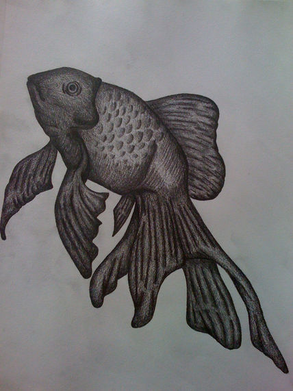 Ilustración Animal