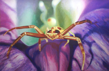 Araña