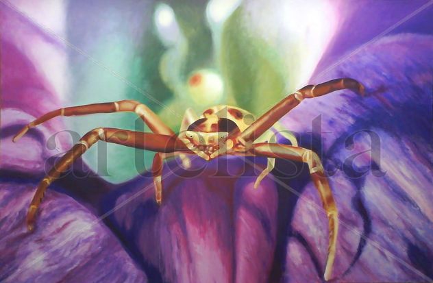 Araña