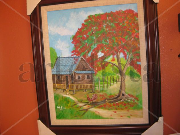 Casita de campo y Flamboyán