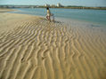 paseo por la playa
