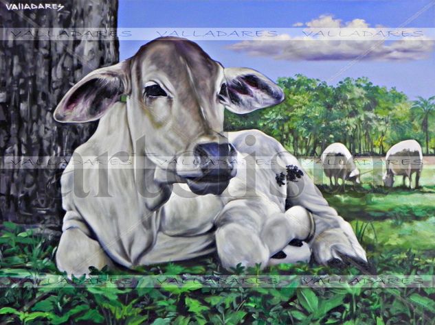 ternero Oil Canvas Animals