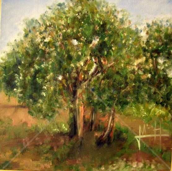 Arbol Oil Canvas Landscaping