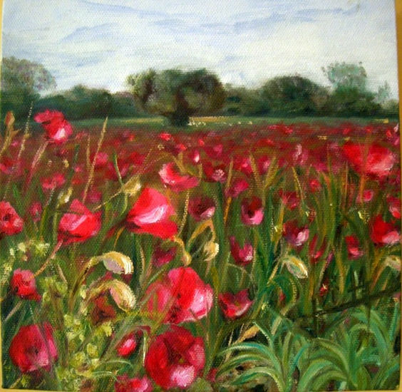 Amapolas Óleo Lienzo Paisaje