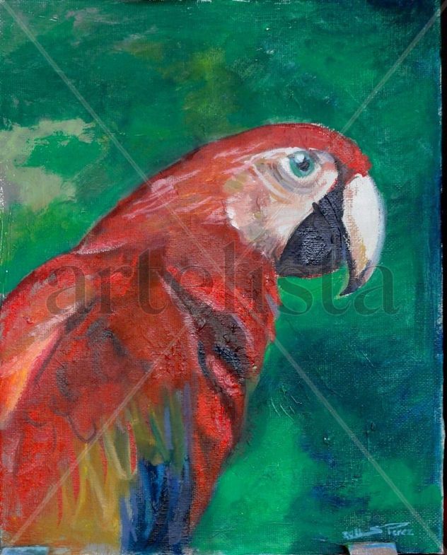 En compañía / Loro, detalle.
