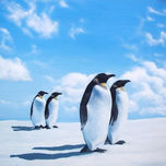 Fauna Nativa Argentina thumbnail 1