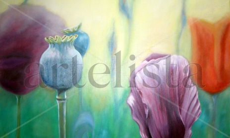 Paisajes y flores