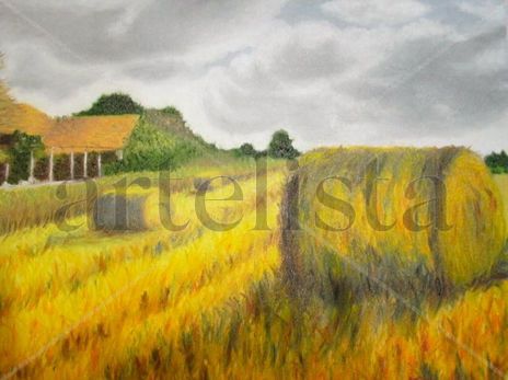 Colheita - Harvest