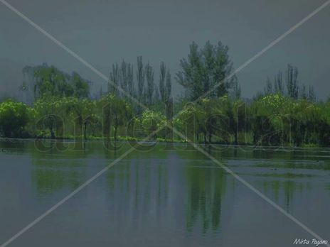 Paisaje Gris