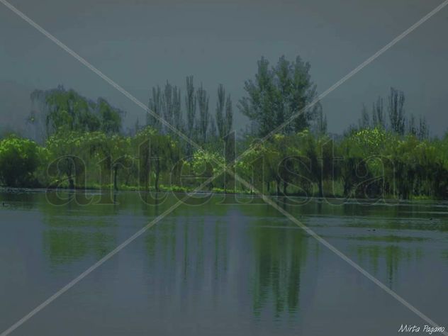 Paisaje Gris