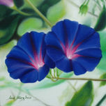 "Flores" thumbnail 1