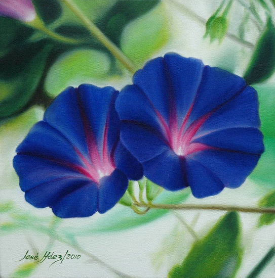 Blue Morning Glory Oil Canvas Floral Painting