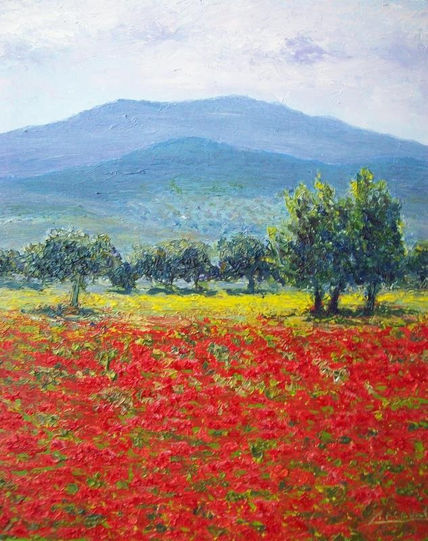 Amapolas