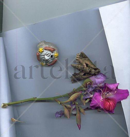 pobre naturaleza muerta.......y la luna ritmica !!!!
