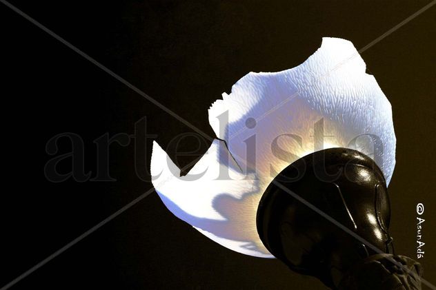 ilumina la noche
