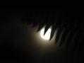 nocturna 1