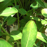 Fotografia thumbnail 2