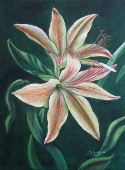 Lirios Oil Canvas Floral Painting