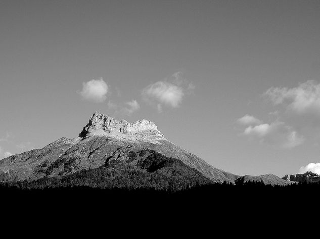 Imitación natural Naturaleza Blanco y Negro (Digital)