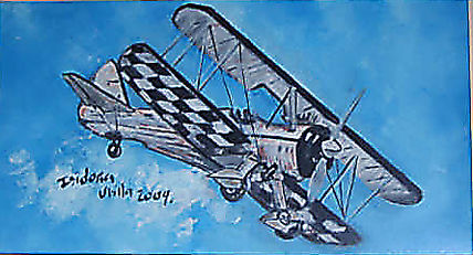 Volando2