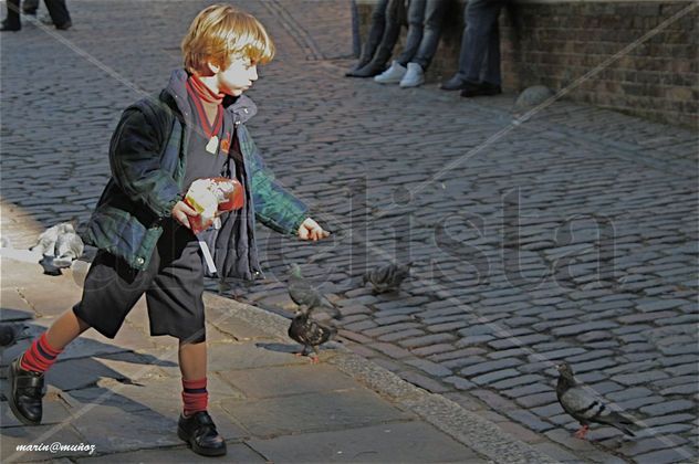 Dando de comer a las palomas