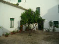 palomar de la breña