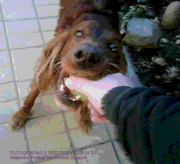 YAGO/ JUGANDO ( POSTAL)