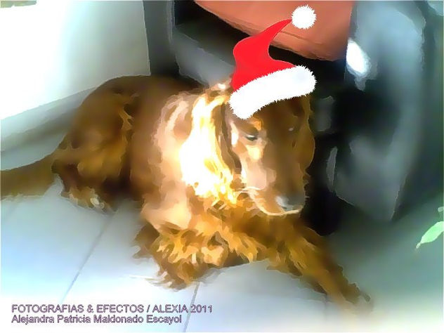 YAGO/ DE NAVIDAD ( PINTURA)