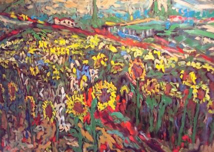 Camp de girasols