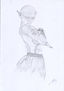 Alienigena