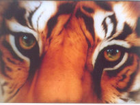 Mirada de tigre