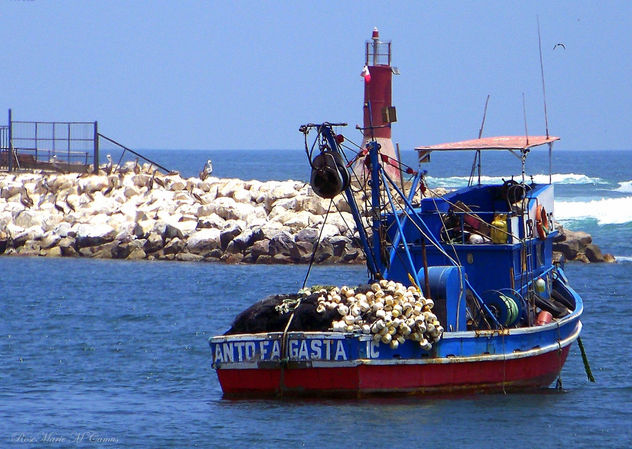 EL ANTOFAGASTA...