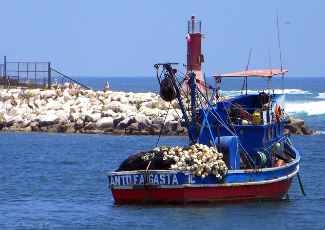 EL ANTOFAGASTA... Naturaleza Color (Digital)