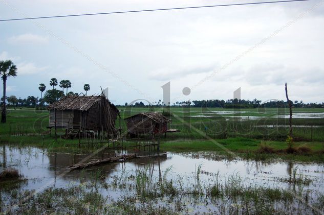 camboya 