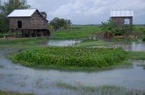 Camboya