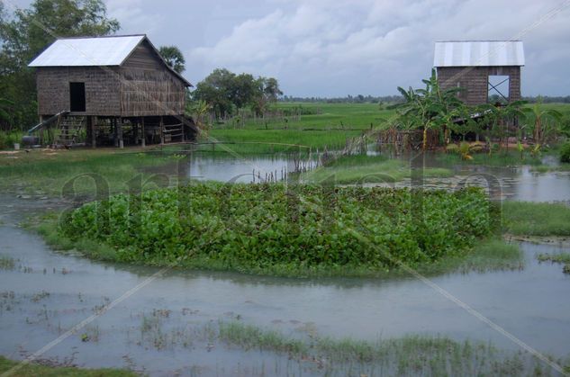 camboya 