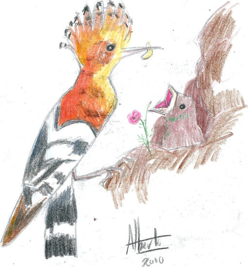 pajaro y cria Pencil (coloured) Paper Animals