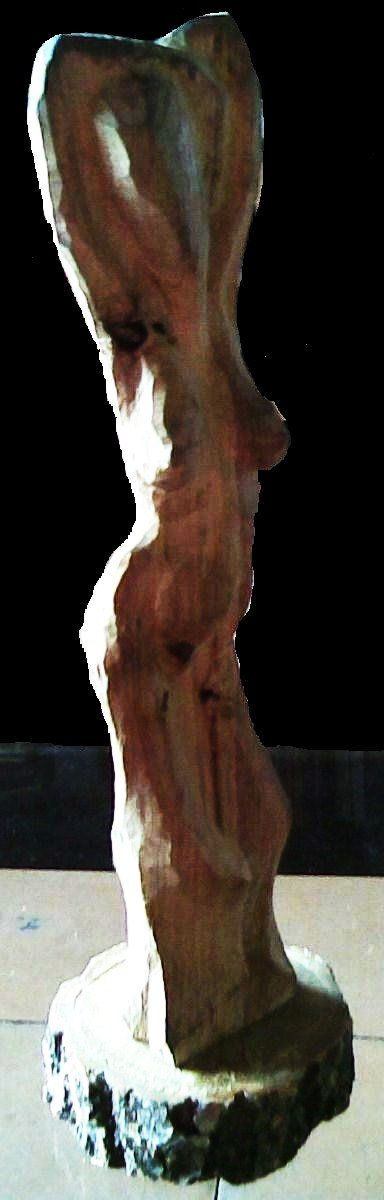 Venus de La Habana