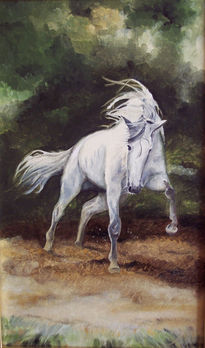 Caballo blanco B2