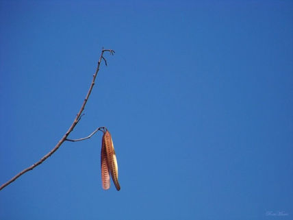 Otoño...