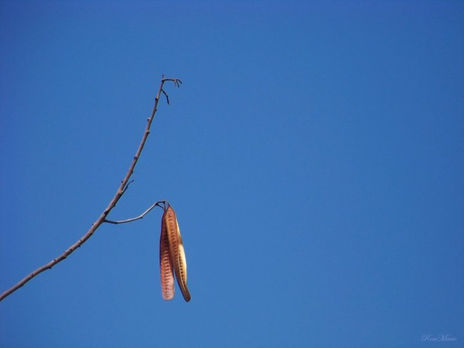Otoño...
