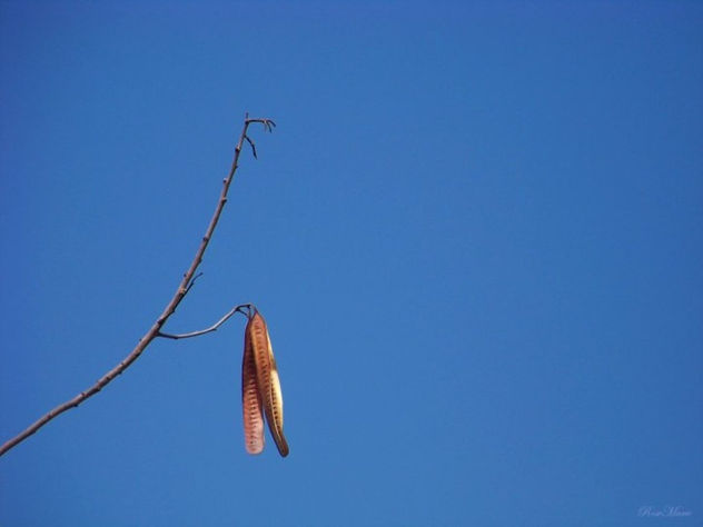 OTOÑO...