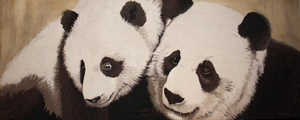 Osos panda