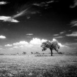 Paisaje thumbnail 2