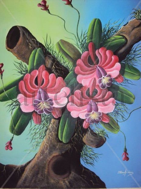 Orquidea ll