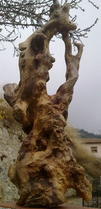 Aquelarre totemico...